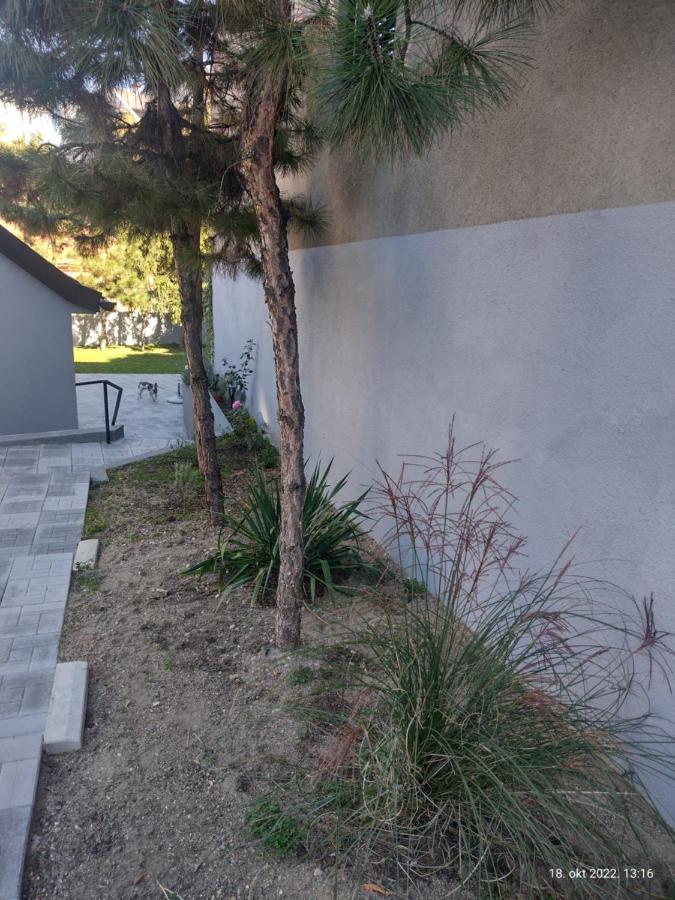 Apartmani Domo Sd Semêndria Exterior foto